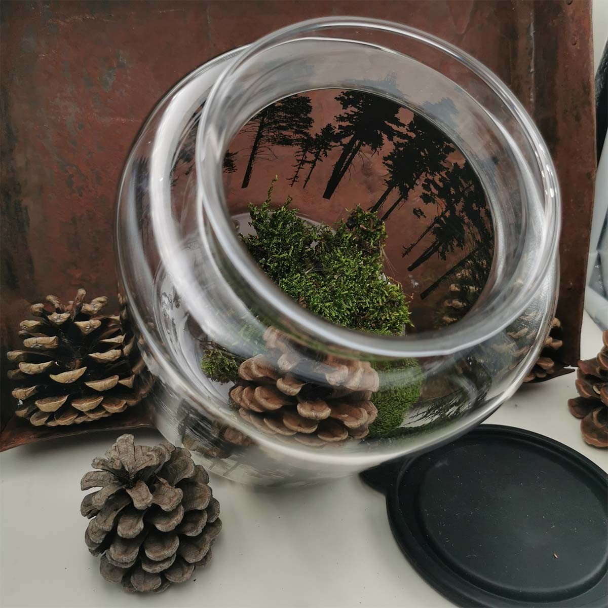 Pot de conservation en verre décor forêt