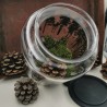 Composition Pot de conservation en verre décor forêt
