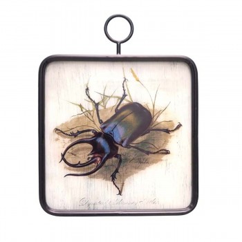 Cadre en verre et métal fixation anneau motif scarabé
