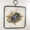 Composition Cadre en verre et métal fixation anneau motif scarabé