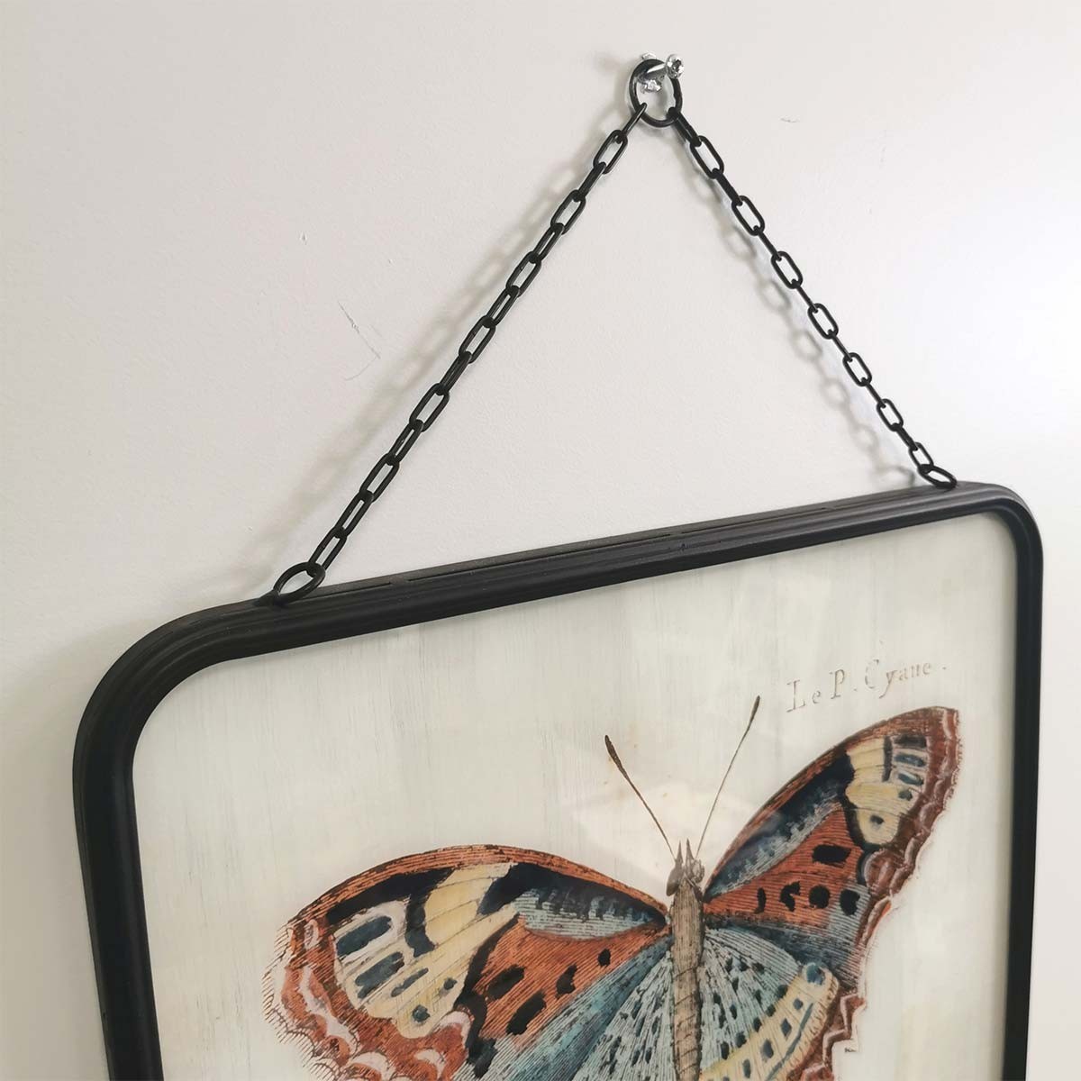 Composition Cadre en verre et métal avec chaine motif papillon