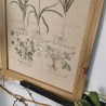 Composition Tableau en bois et toile motifs fleurs botaniques