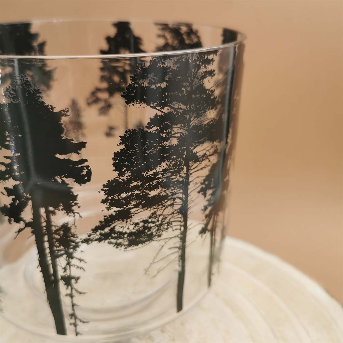 Composition Photophore en verre transparent foret noire
