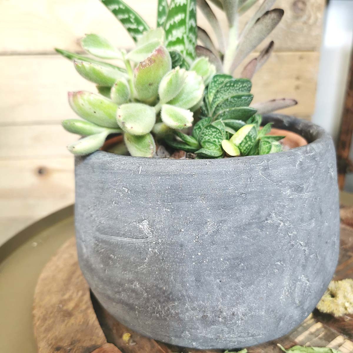 Composition Pot de fleurs en ciment gris foncé